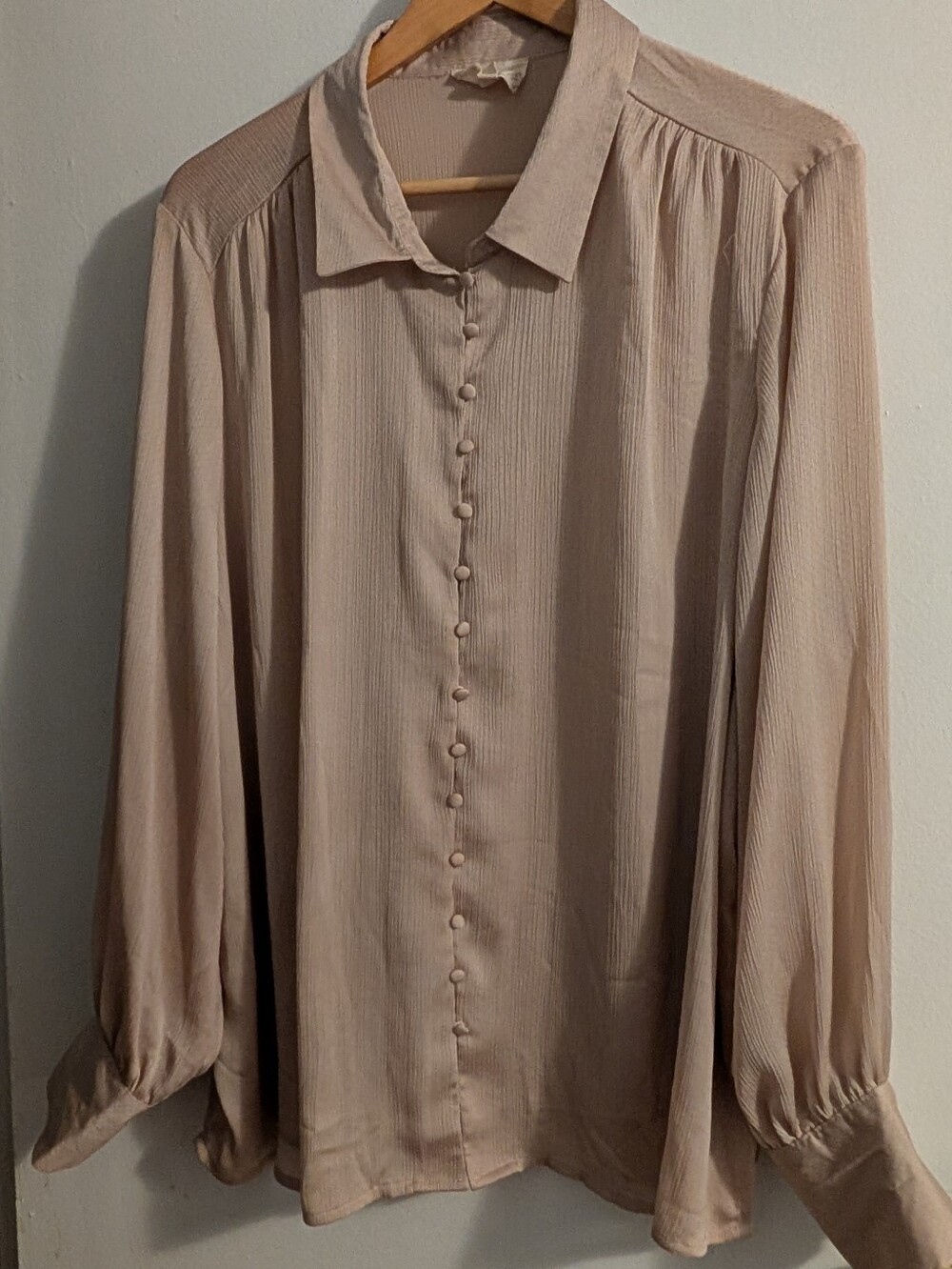Women’s Classic Button-Down Blouse in Dusty Beige